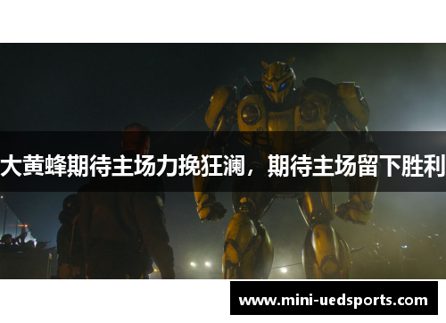 大黄蜂期待主场力挽狂澜，期待主场留下胜利